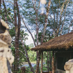 Samala Mukungule Community Camp North Luangwa National Park Accommodation